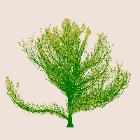 greenshift tree