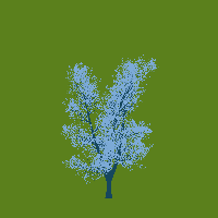 greenshift tree