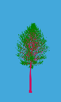 greenshift tree