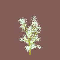 greenshift tree