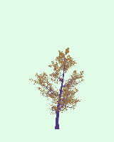 greenshift tree