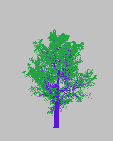 greenshift tree