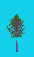 greenshift tree