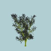 greenshift tree