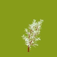 greenshift tree