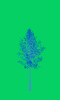 greenshift tree