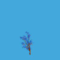 greenshift tree
