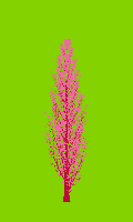 greenshift tree