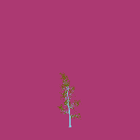 greenshift tree