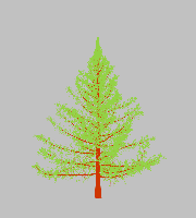 greenshift tree