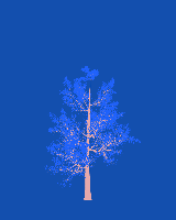 greenshift tree