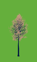 greenshift tree