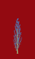 greenshift tree