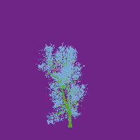 greenshift tree