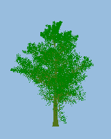 greenshift tree