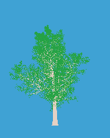 greenshift tree