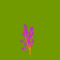 greenshift tree