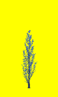 greenshift tree