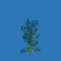 greenshift tree