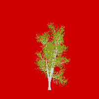 greenshift tree