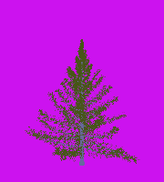 greenshift tree
