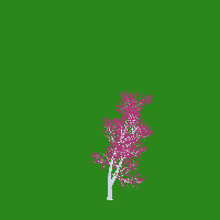 greenshift tree