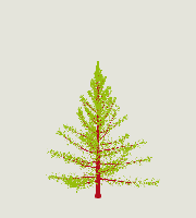 greenshift tree