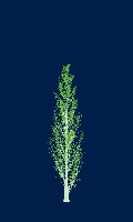 greenshift tree