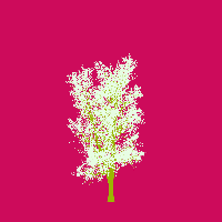 greenshift tree