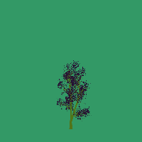 greenshift tree