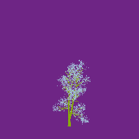 greenshift tree