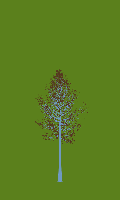 greenshift tree