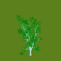 greenshift tree