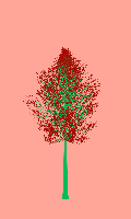 greenshift tree