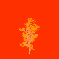 greenshift tree