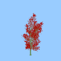 greenshift tree
