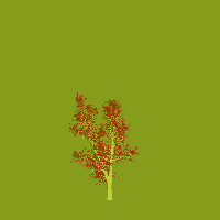 greenshift tree
