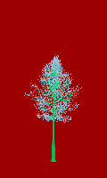 greenshift tree