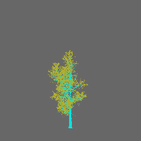 greenshift tree