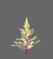greenshift tree