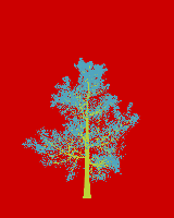 greenshift tree