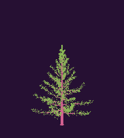 greenshift tree