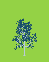 greenshift tree