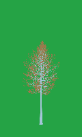 greenshift tree