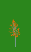 greenshift tree