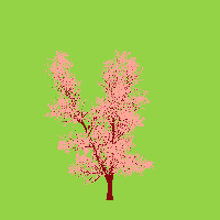 greenshift tree