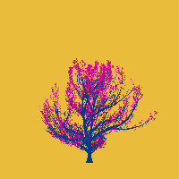 greenshift tree