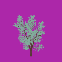 greenshift tree