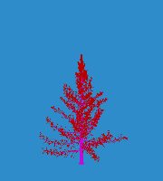 greenshift tree