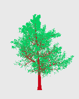 greenshift tree